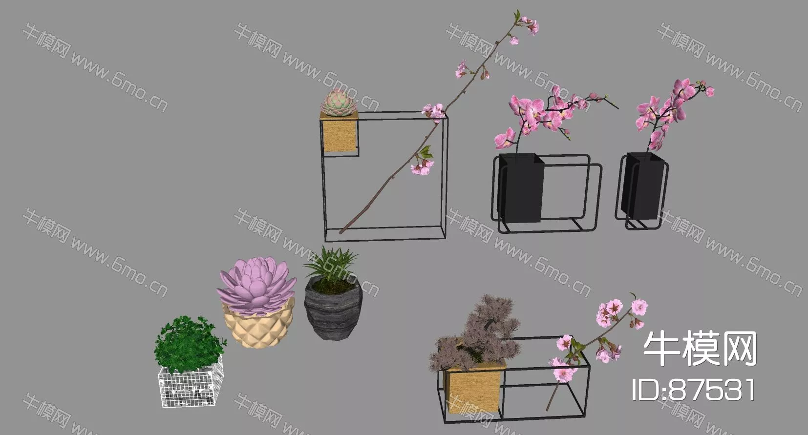 CHINESE PLANT - SKETCHUP 3D MODEL - ENSCAPE - 87531