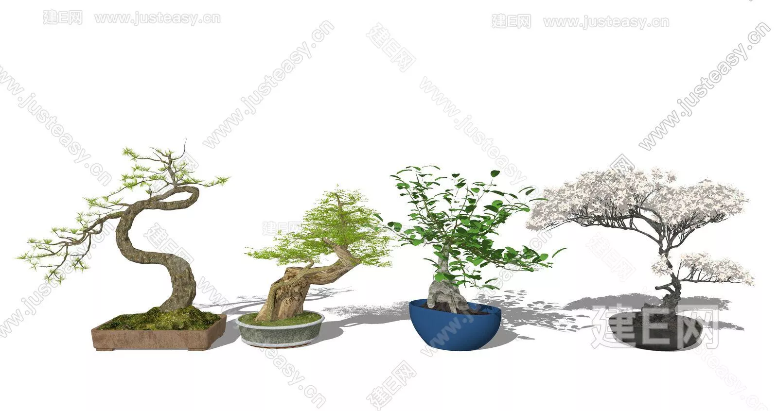 CHINESE POTTED PLANT - SKETCHUP 3D MODEL - ENSCAPE - 112673176