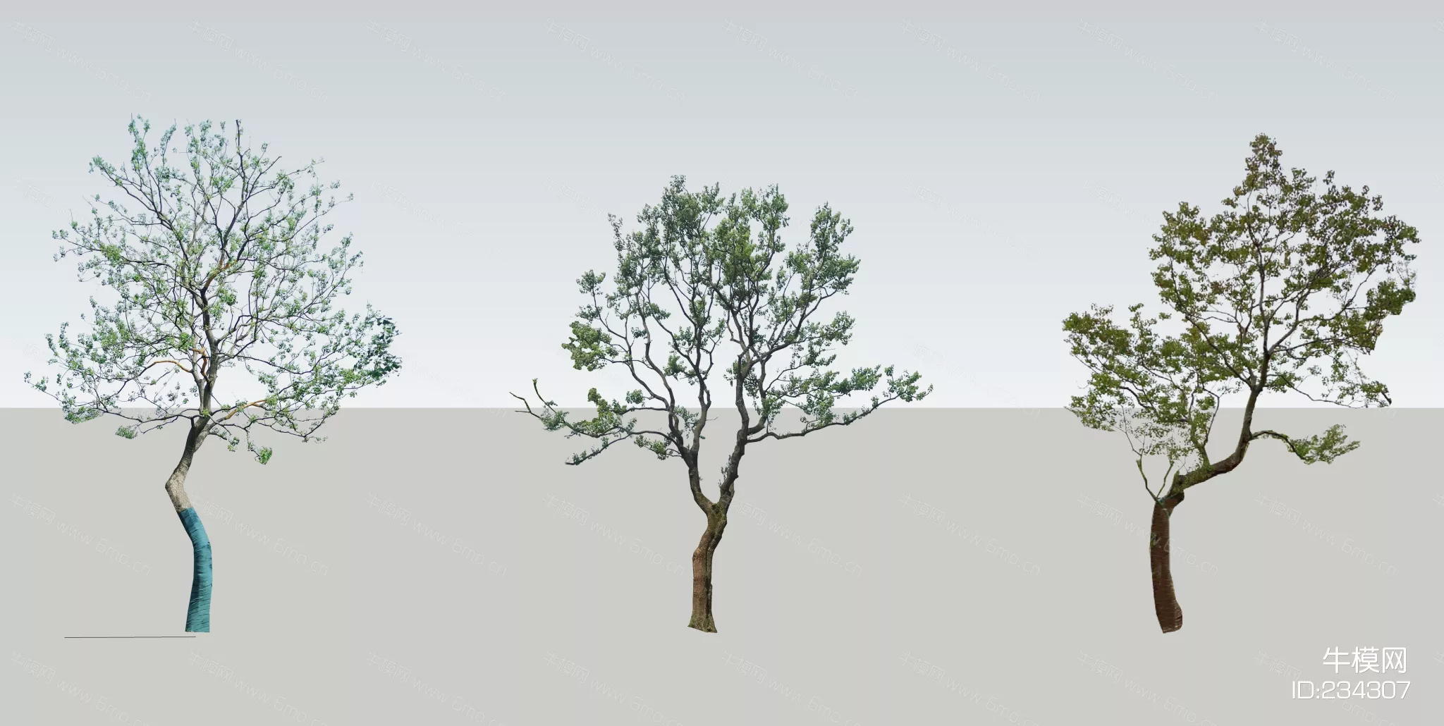 CHINESE TREE - SKETCHUP 3D MODEL - ENSCAPE - 234307