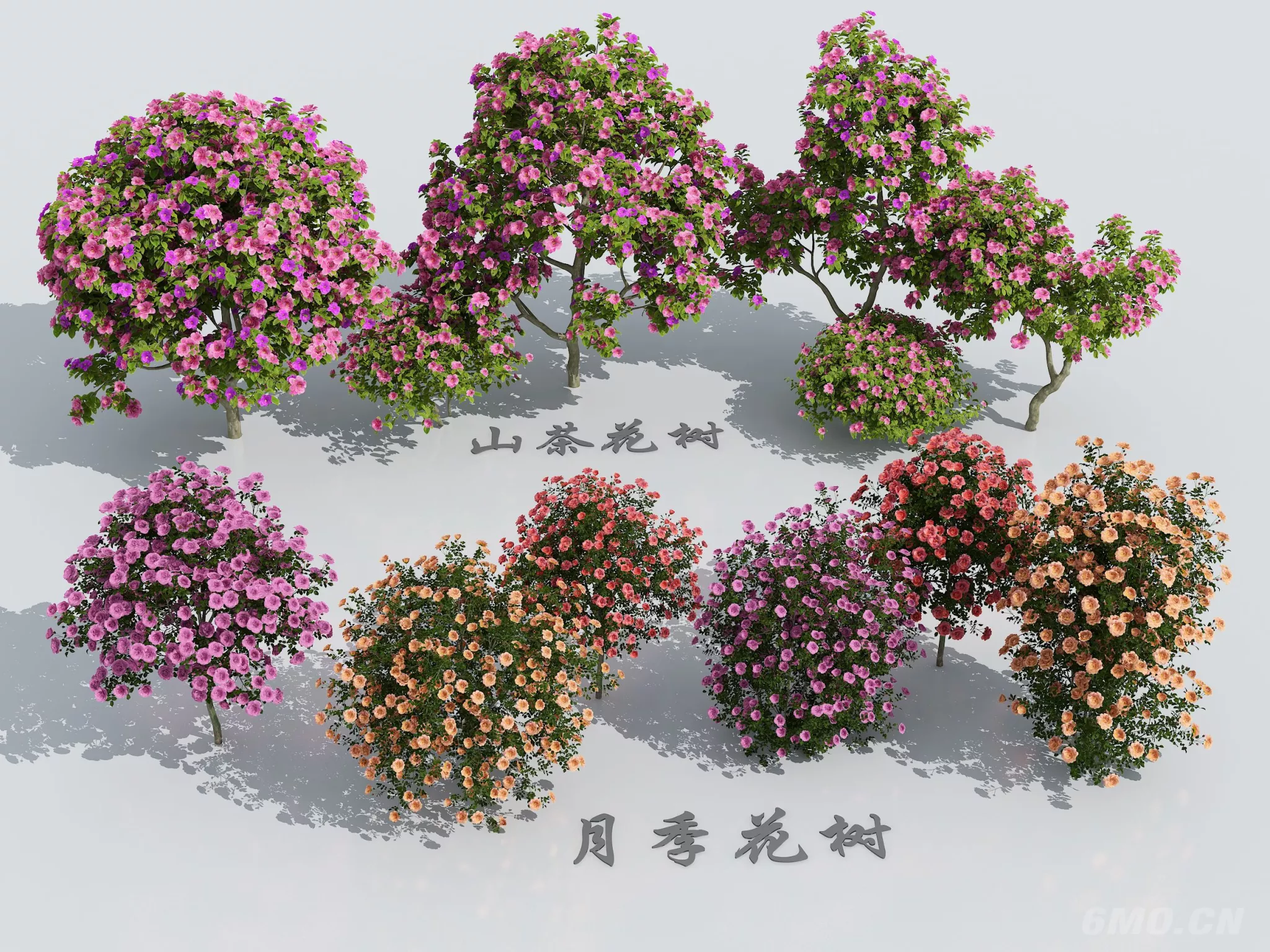 CHINESE TREE - SKETCHUP 3D MODEL - LUMION - 274254