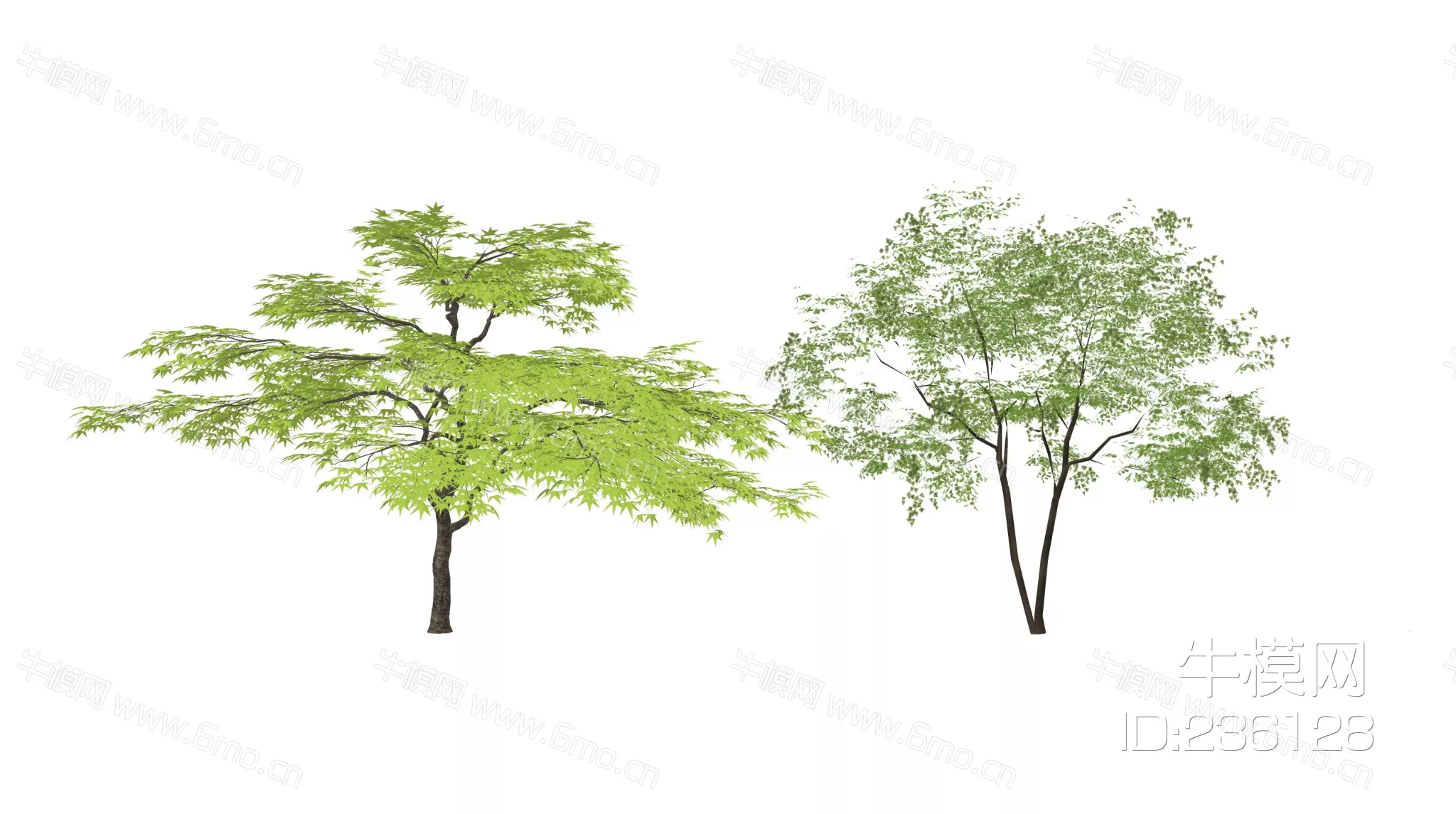 JAPANESE TREE - SKETCHUP 3D MODEL - ENSCAPE - 236128