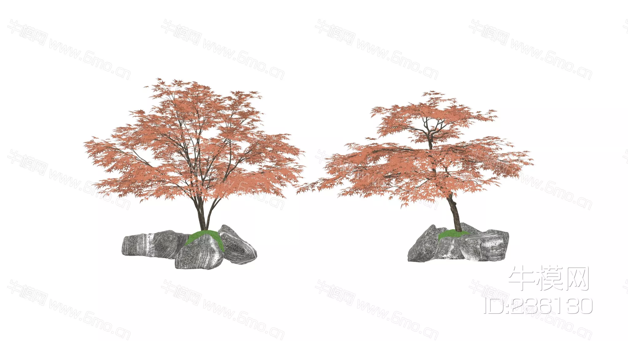 JAPANESE TREE - SKETCHUP 3D MODEL - ENSCAPE - 236130