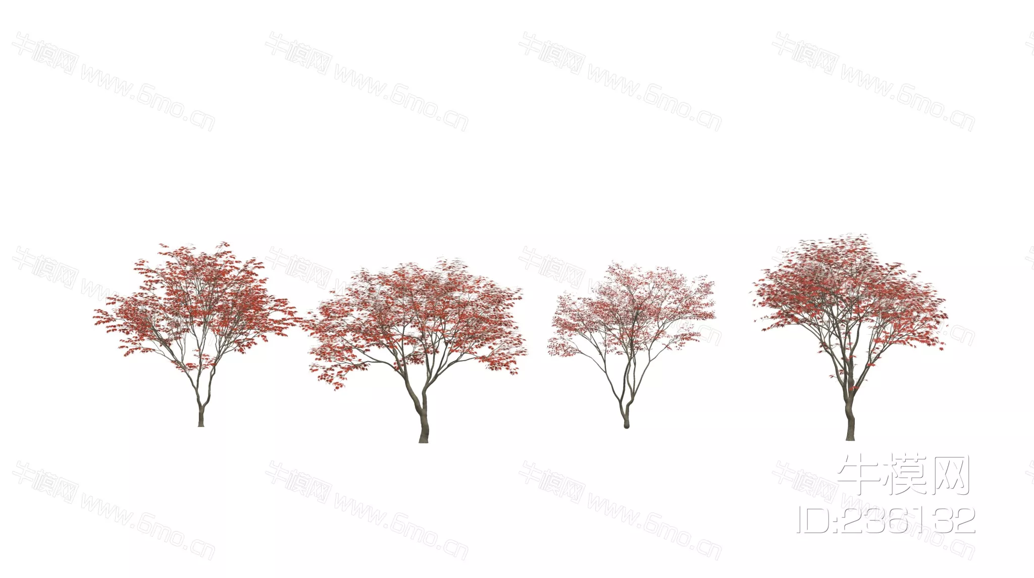 JAPANESE TREE - SKETCHUP 3D MODEL - ENSCAPE - 236132