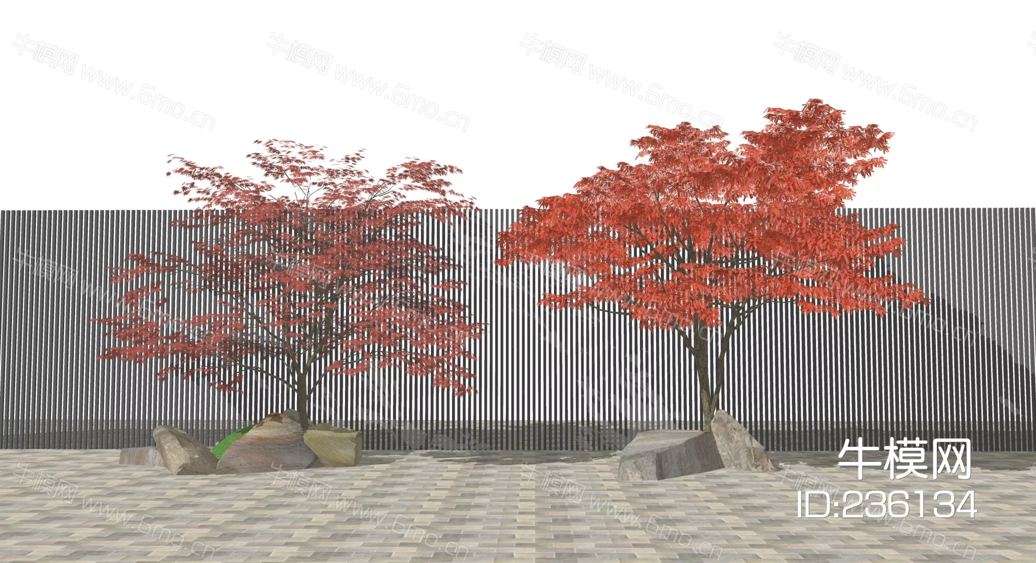 JAPANESE TREE - SKETCHUP 3D MODEL - ENSCAPE - 236134