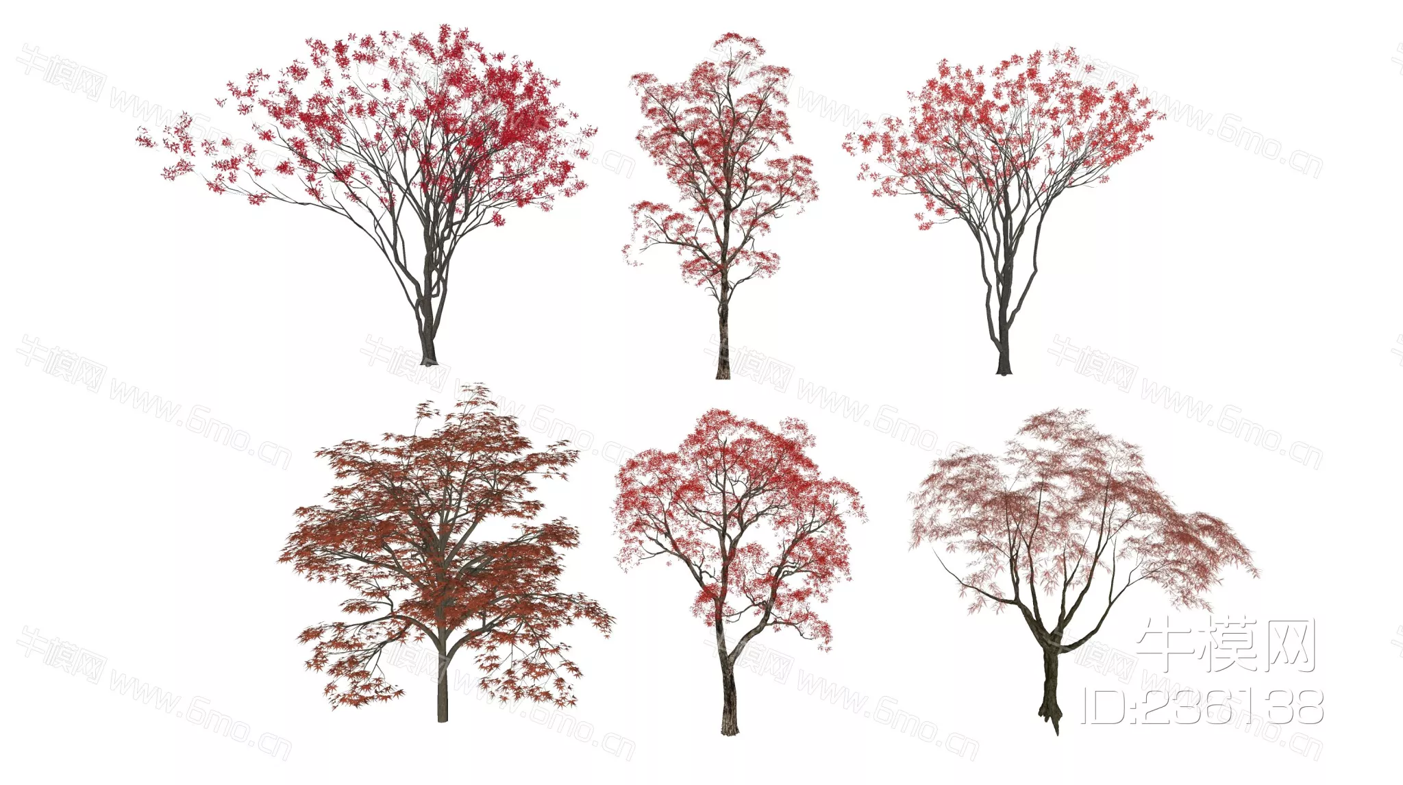 JAPANESE TREE - SKETCHUP 3D MODEL - ENSCAPE - 236138