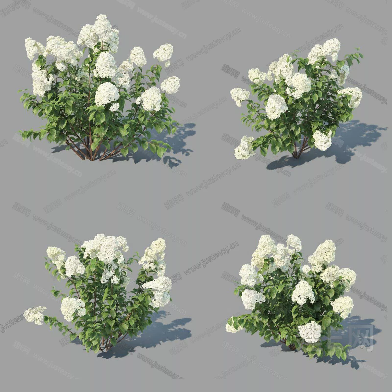 MODERN FLORAL FLOWERS - SKETCHUP 3D MODEL - ENSCAPE - 111496478
