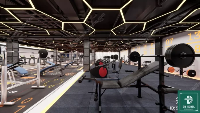 MODERN GYM - SKETCHUP 3D SCENE - VRAY OR ENSCAPE - ID07817