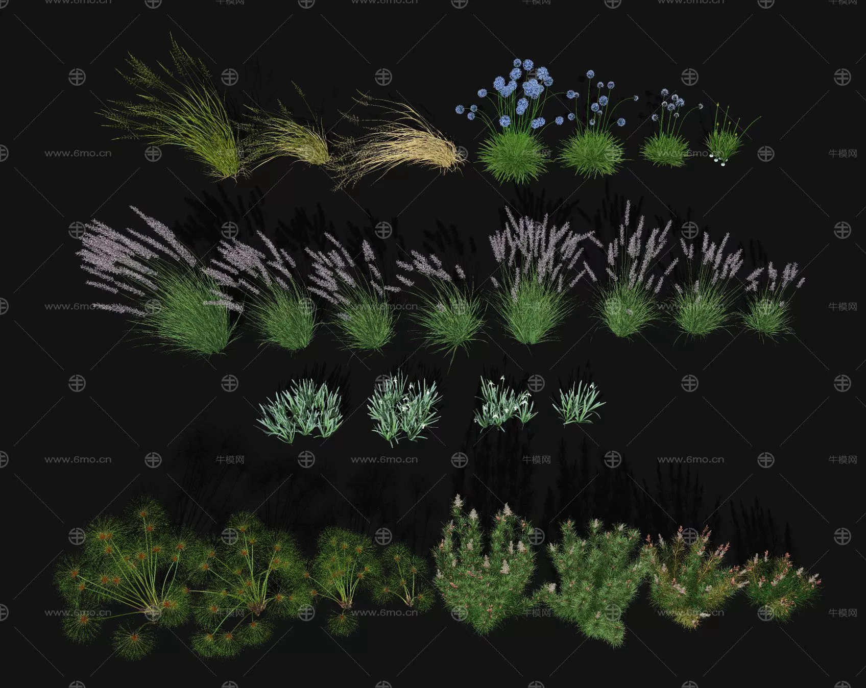 MODERN PLANT - SKETCHUP 3D MODEL - ENSCAPE - 278266