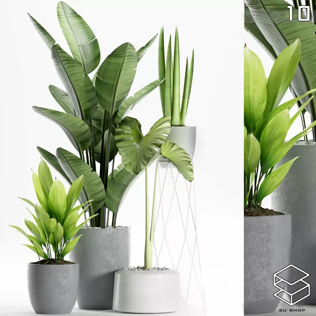 MODERN PLANT – SKETCHUP 3D MODEL – VRAY OR ENSCAPE – ID11989 | SketchUp ...