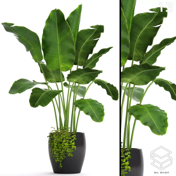 MODERN PLANT - SKETCHUP 3D MODEL - VRAY OR ENSCAPE - ID11993