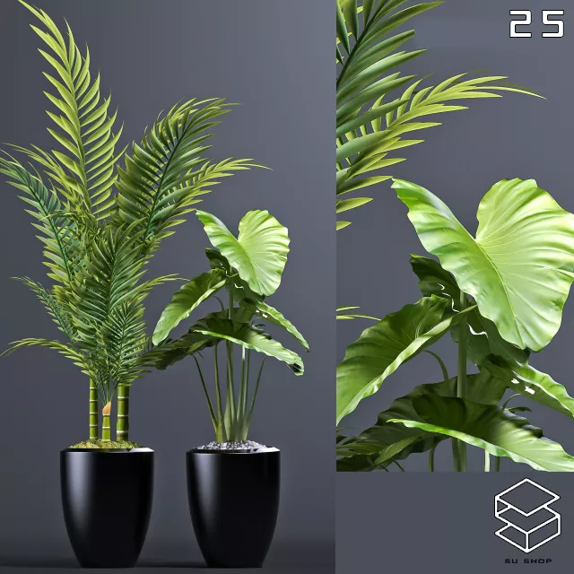 MODERN PLANT - SKETCHUP 3D MODEL - VRAY OR ENSCAPE - ID12006