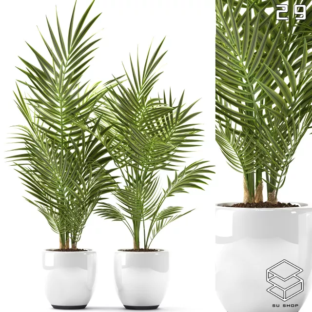 MODERN PLANT - SKETCHUP 3D MODEL - VRAY OR ENSCAPE - ID12010