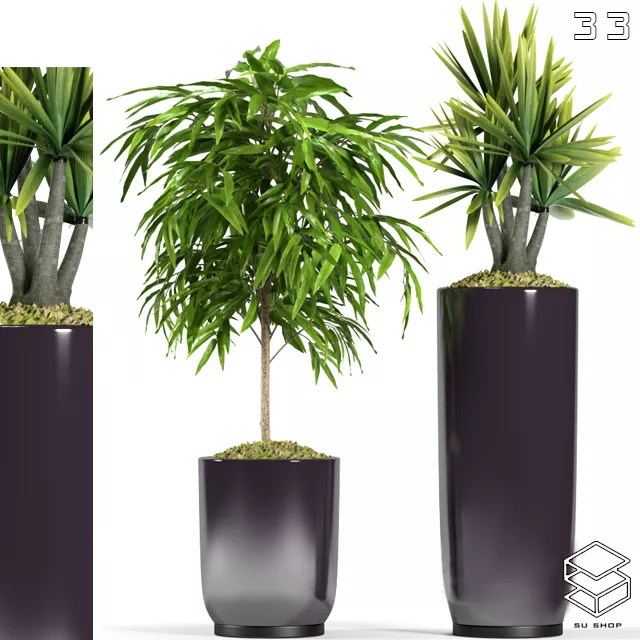 MODERN PLANT - SKETCHUP 3D MODEL - VRAY OR ENSCAPE - ID12015