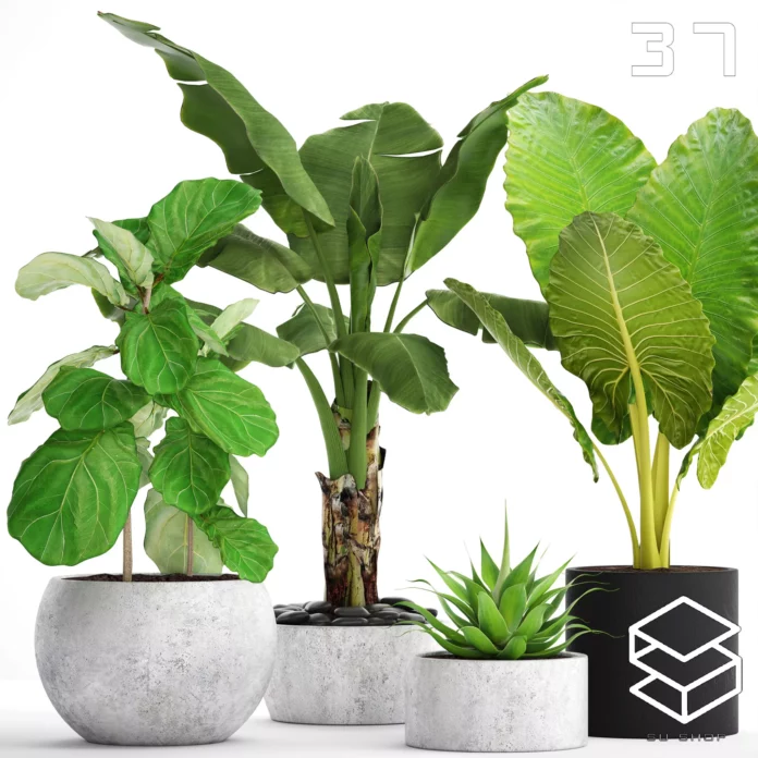 MODERN PLANT - SKETCHUP 3D MODEL - VRAY OR ENSCAPE - ID12019