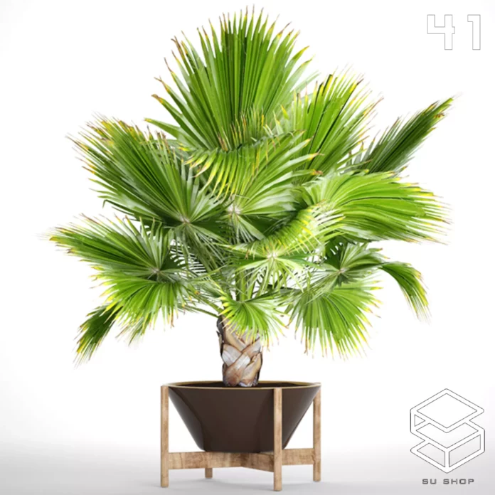 MODERN PLANT - SKETCHUP 3D MODEL - VRAY OR ENSCAPE - ID12024