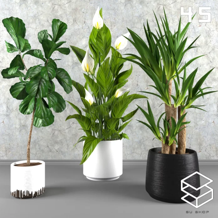 MODERN PLANT - SKETCHUP 3D MODEL - VRAY OR ENSCAPE - ID12028