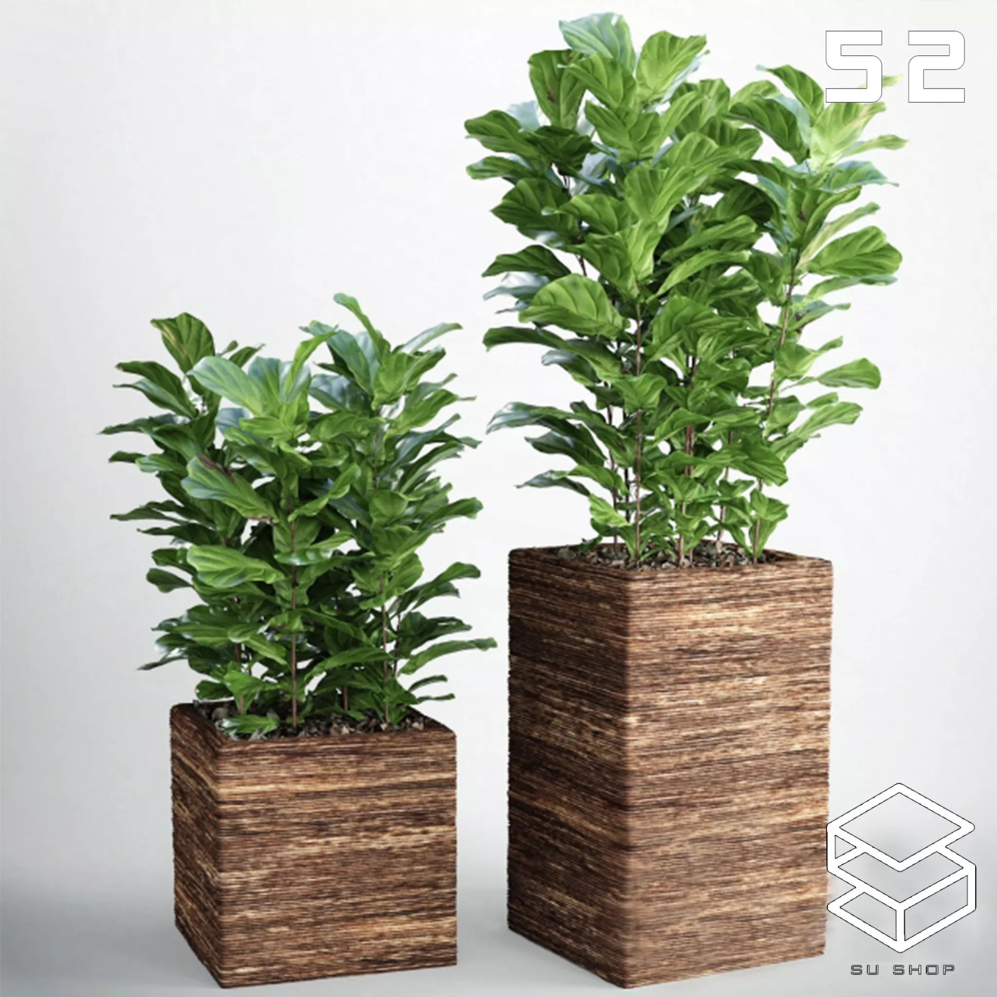 MODERN PLANT - SKETCHUP 3D MODEL - VRAY OR ENSCAPE - ID12036