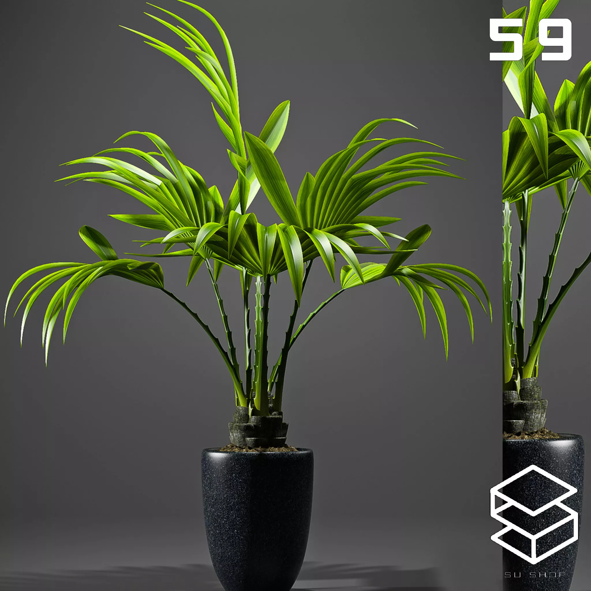 MODERN PLANT - SKETCHUP 3D MODEL - VRAY OR ENSCAPE - ID12043