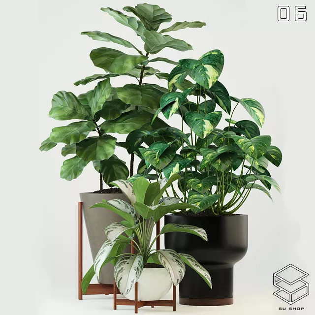 MODERN PLANT - SKETCHUP 3D MODEL - VRAY OR ENSCAPE - ID12044