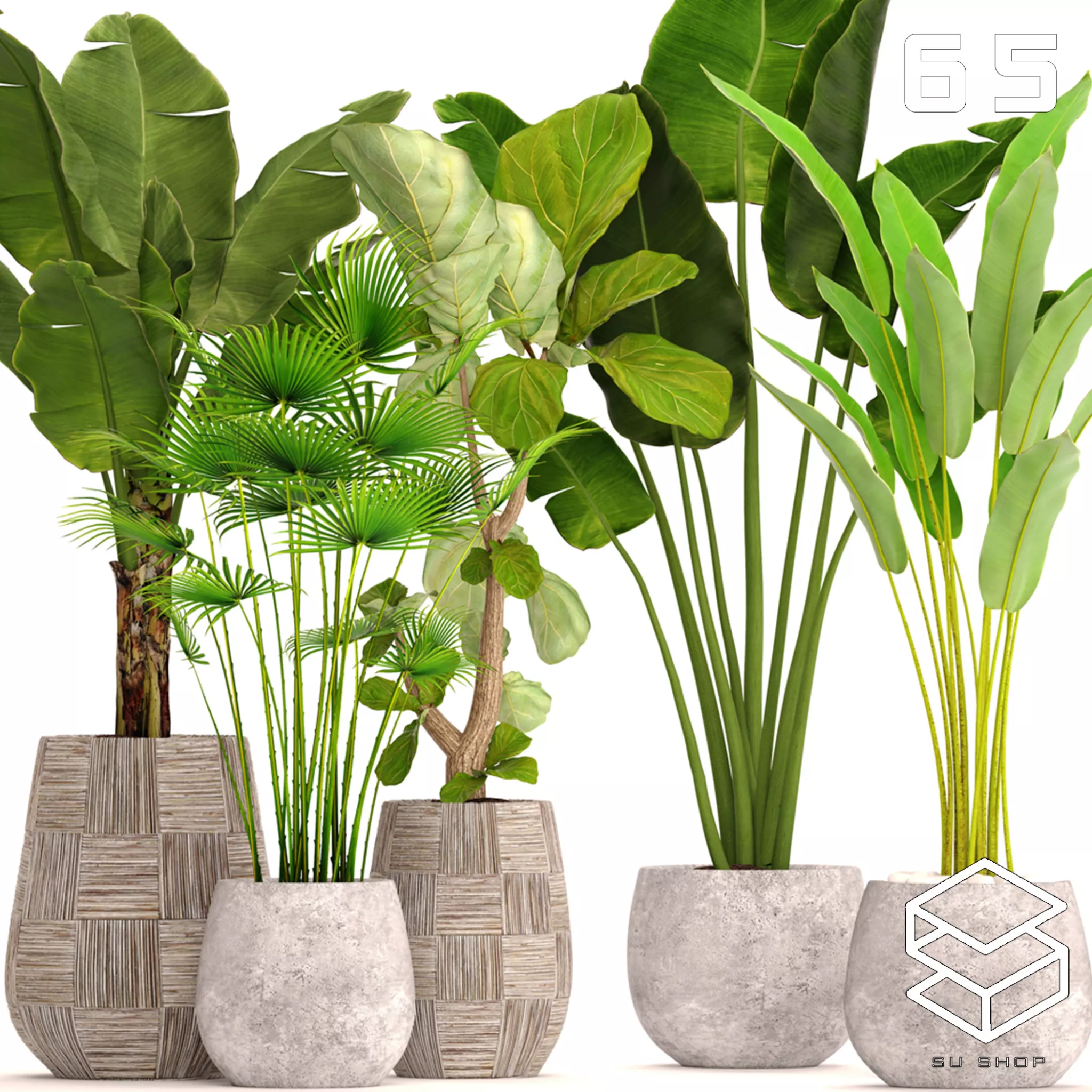 MODERN PLANT - SKETCHUP 3D MODEL - VRAY OR ENSCAPE - ID12050