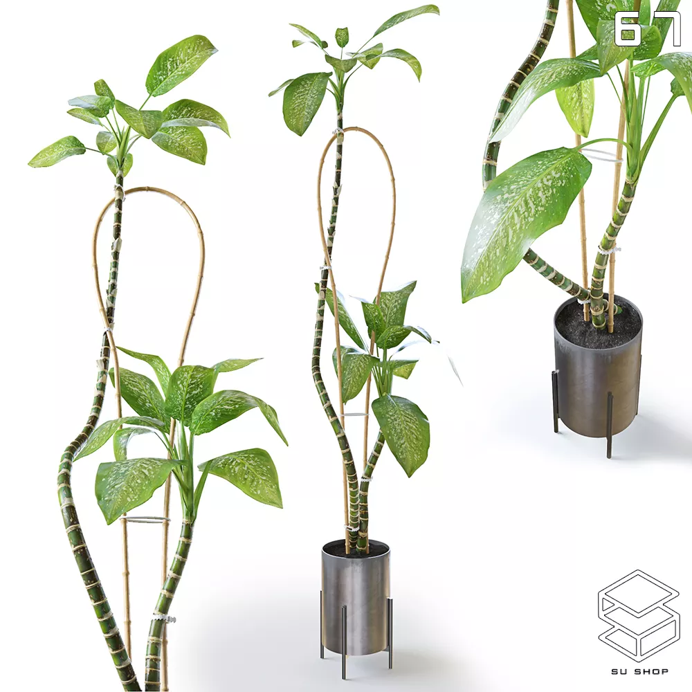 MODERN PLANT - SKETCHUP 3D MODEL - VRAY OR ENSCAPE - ID12052