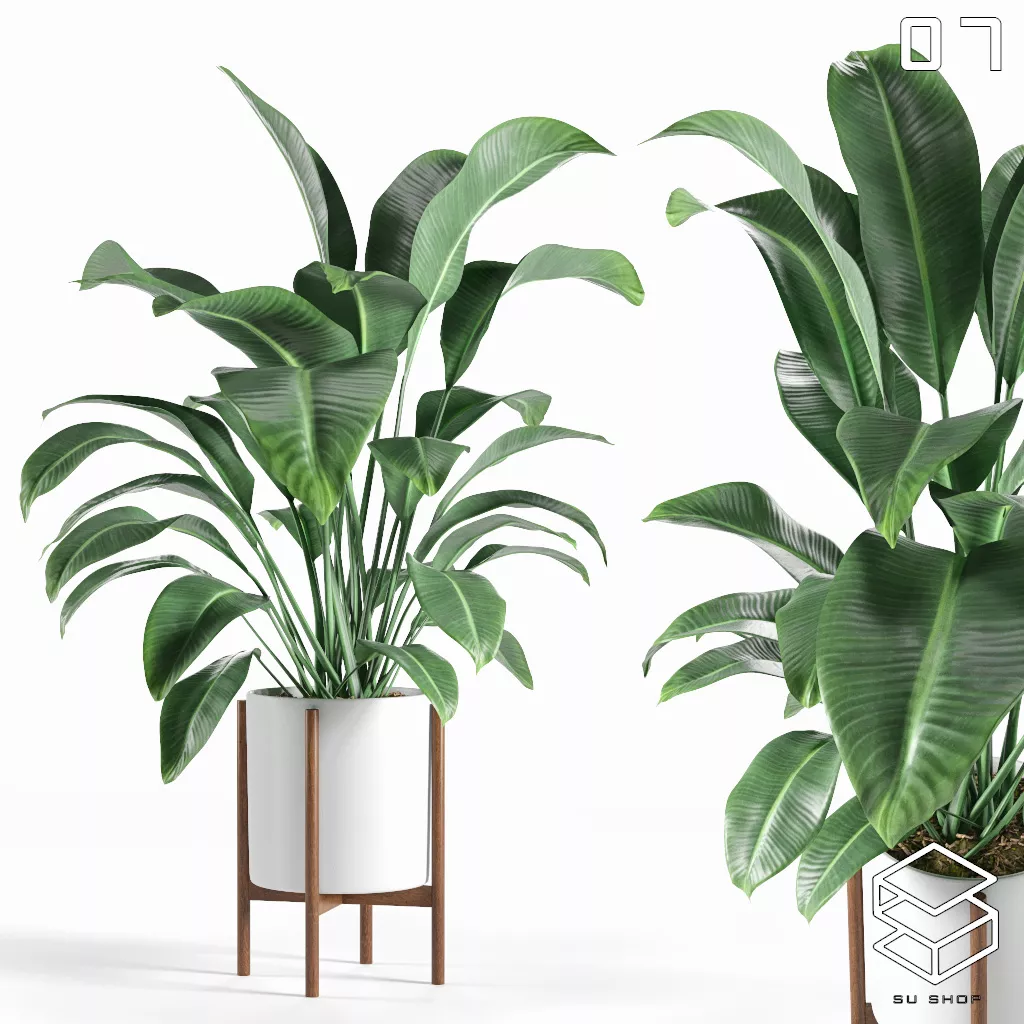 MODERN PLANT - SKETCHUP 3D MODEL - VRAY OR ENSCAPE - ID12055