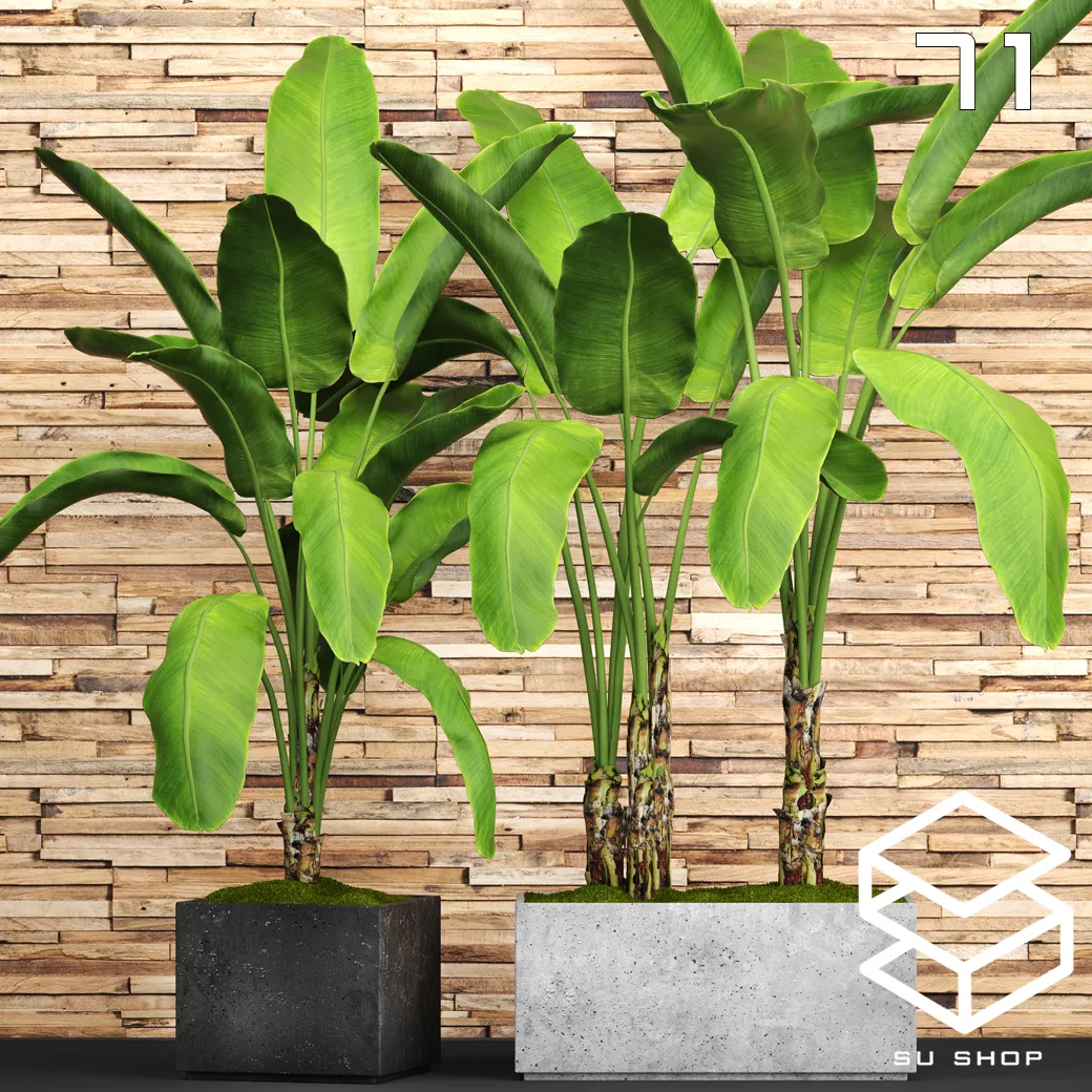 MODERN PLANT - SKETCHUP 3D MODEL - VRAY OR ENSCAPE - ID12057