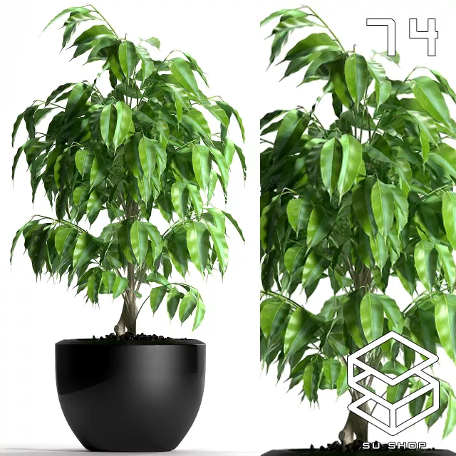 MODERN PLANT - SKETCHUP 3D MODEL - VRAY OR ENSCAPE - ID12060