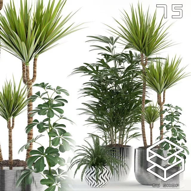 MODERN PLANT - SKETCHUP 3D MODEL - VRAY OR ENSCAPE - ID12061