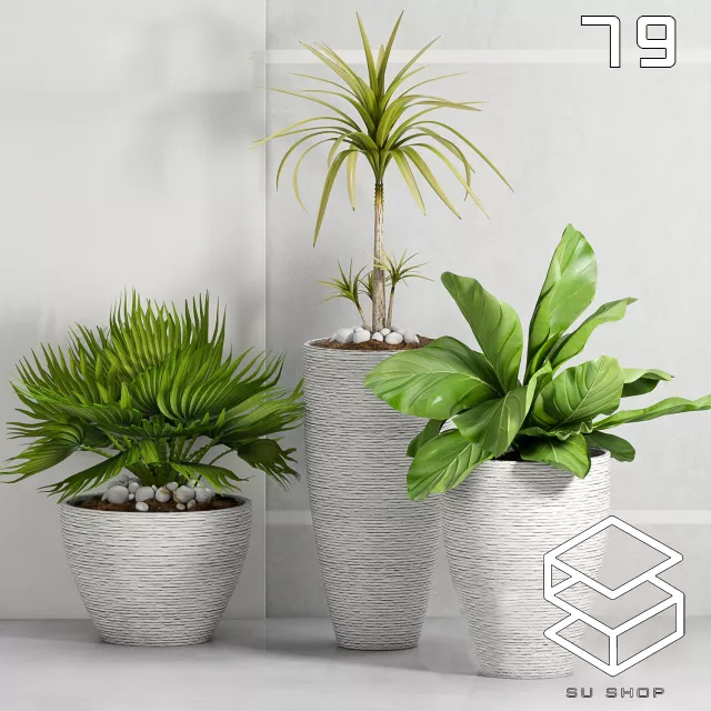 MODERN PLANT - SKETCHUP 3D MODEL - VRAY OR ENSCAPE - ID12065