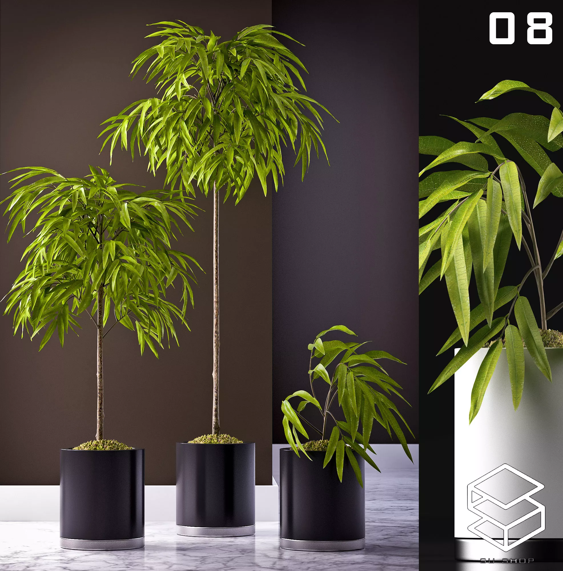 MODERN PLANT - SKETCHUP 3D MODEL - VRAY OR ENSCAPE - ID12066