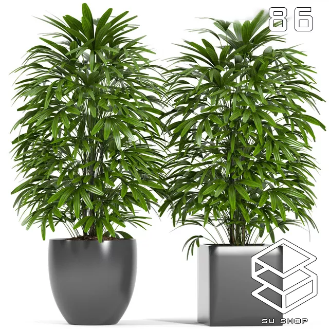 MODERN PLANT - SKETCHUP 3D MODEL - VRAY OR ENSCAPE - ID12073