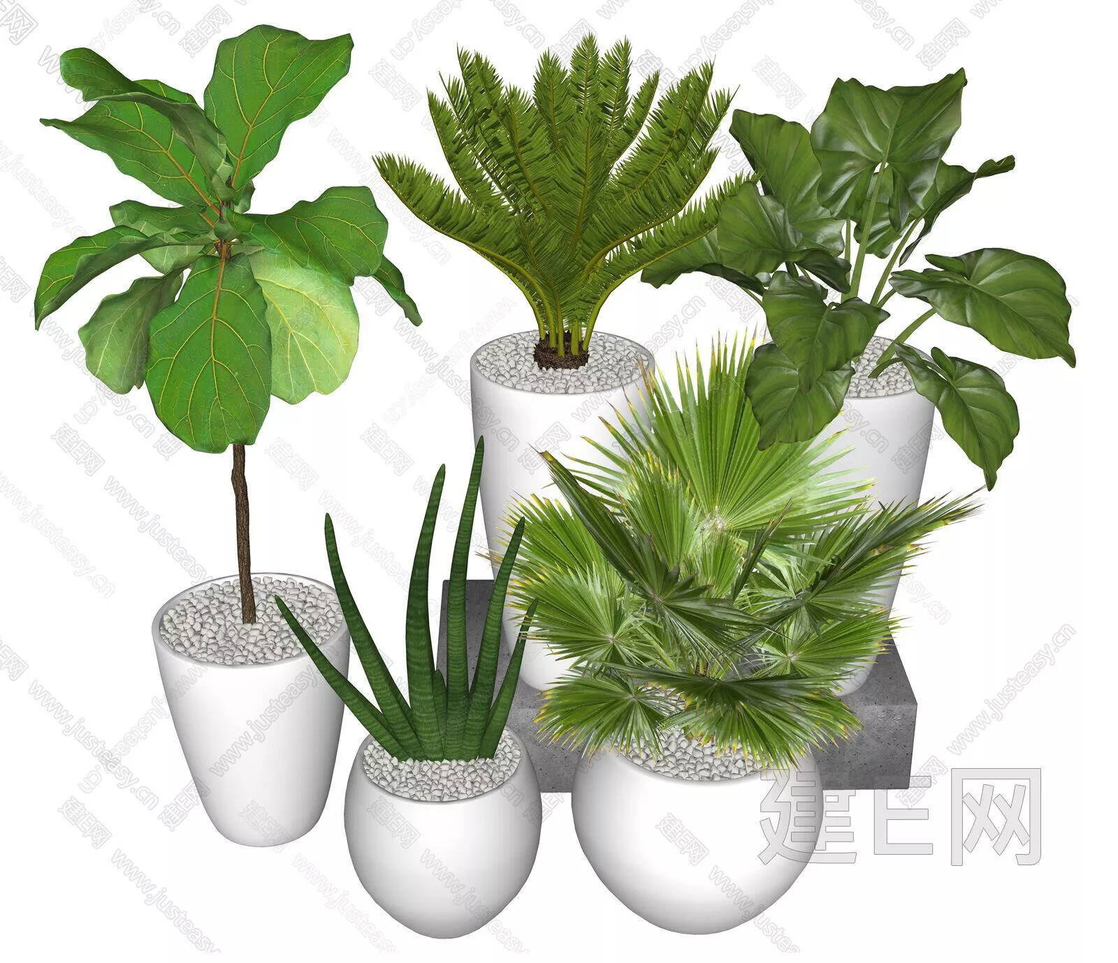 MODERN POTTED PLANT - SKETCHUP 3D MODEL - ENSCAPE - 111493543