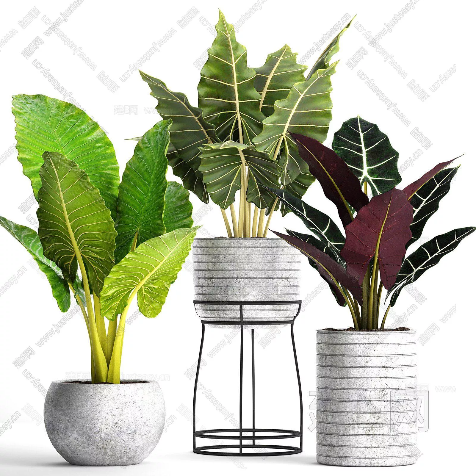 MODERN POTTED PLANT - SKETCHUP 3D MODEL - ENSCAPE - 111627740