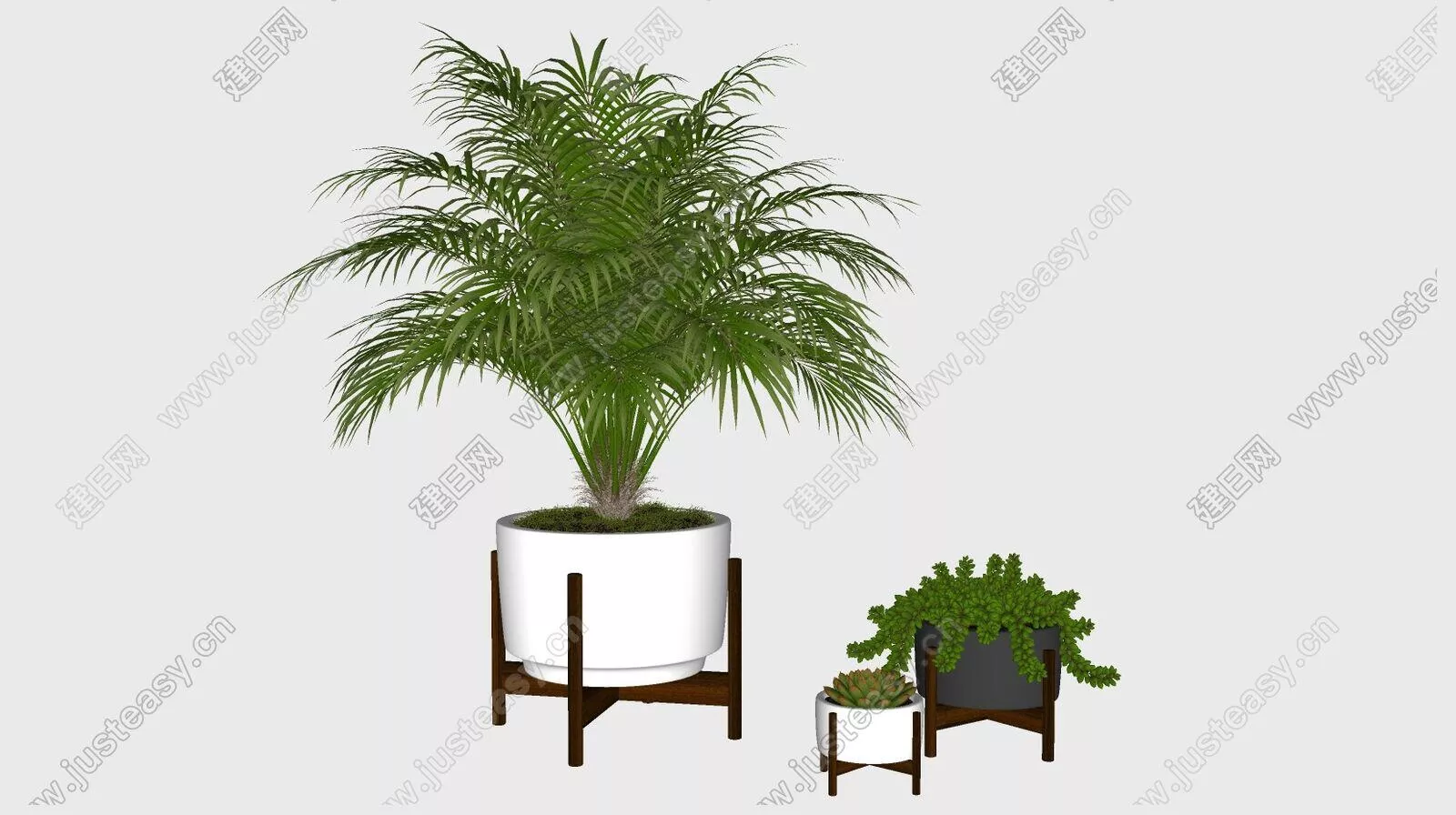 MODERN POTTED PLANT - SKETCHUP 3D MODEL - ENSCAPE - 113197326