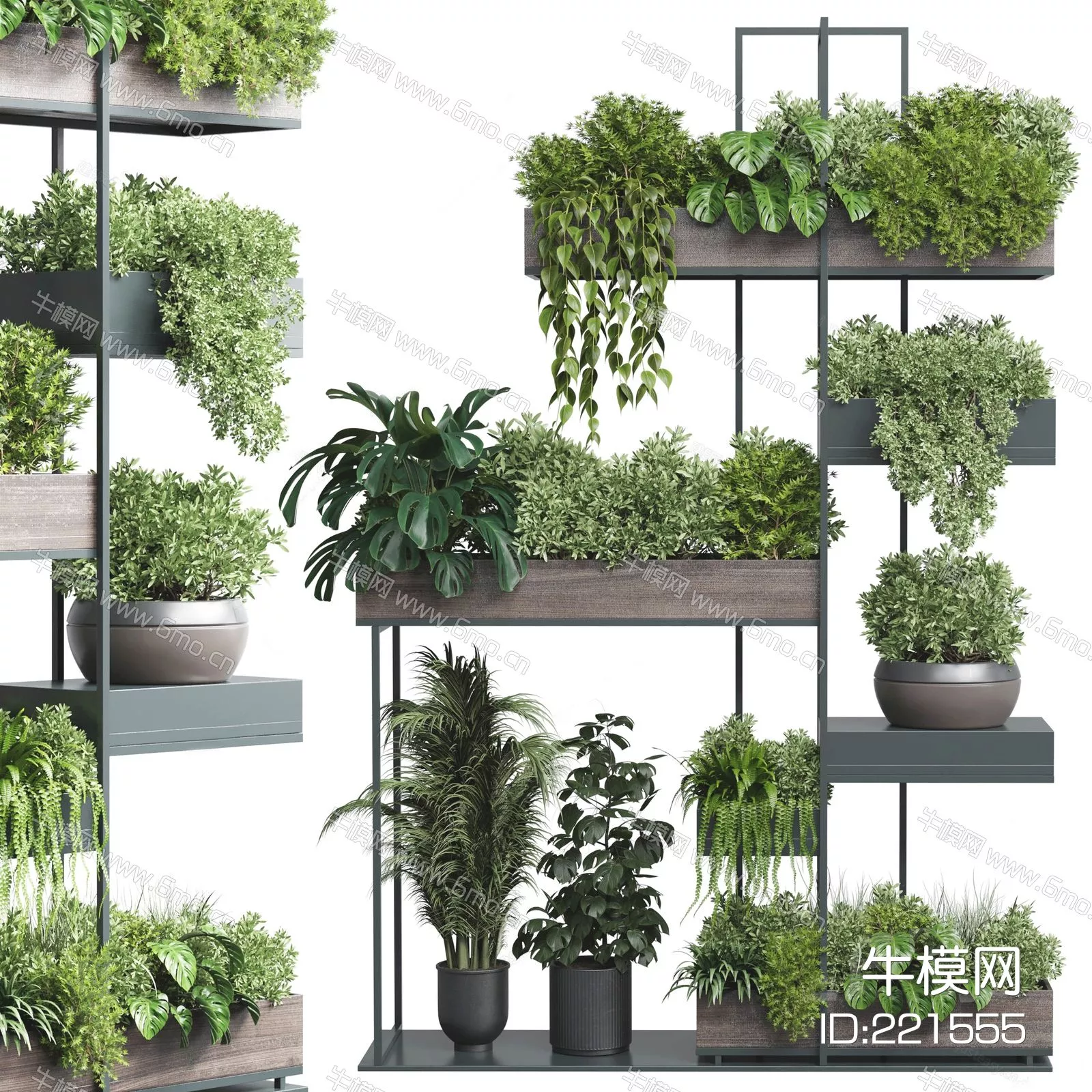 MODERN POTTED PLANT - SKETCHUP 3D MODEL - ENSCAPE - 221555