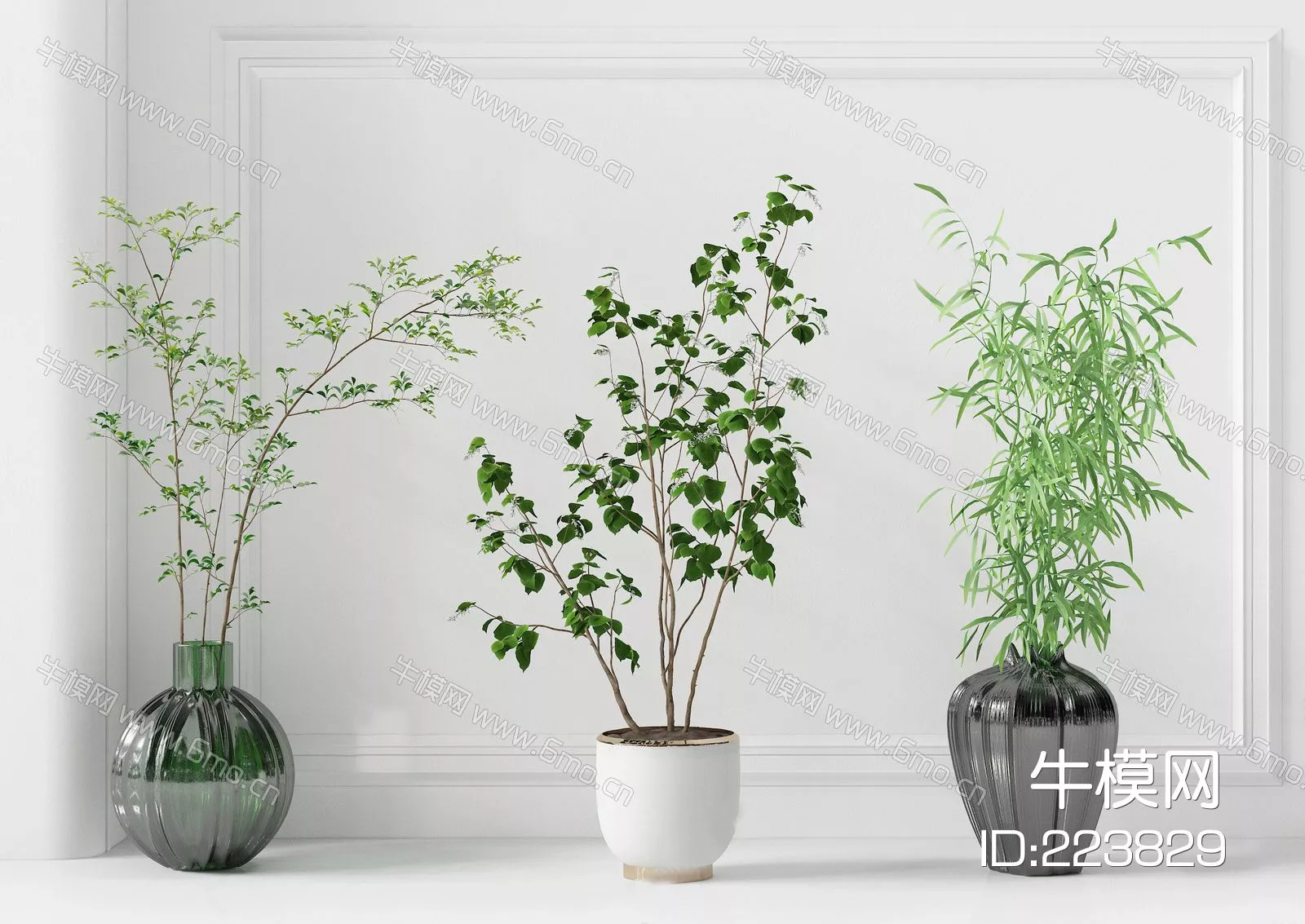 MODERN POTTED PLANT - SKETCHUP 3D MODEL - ENSCAPE - 223829