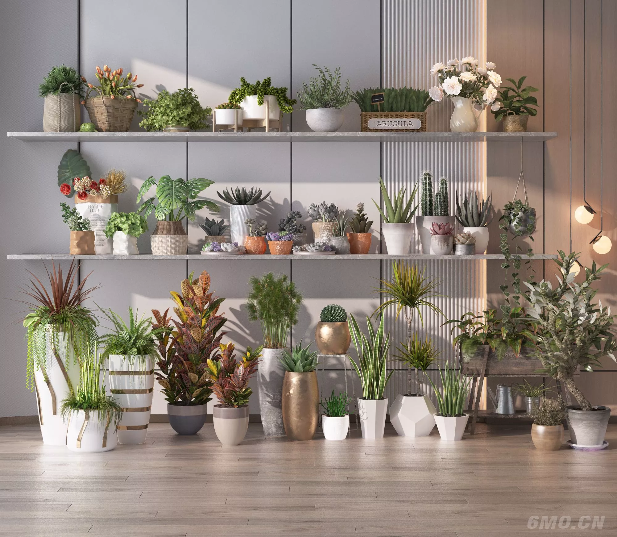 MODERN POTTED PLANT - SKETCHUP 3D MODEL - ENSCAPE - 248876