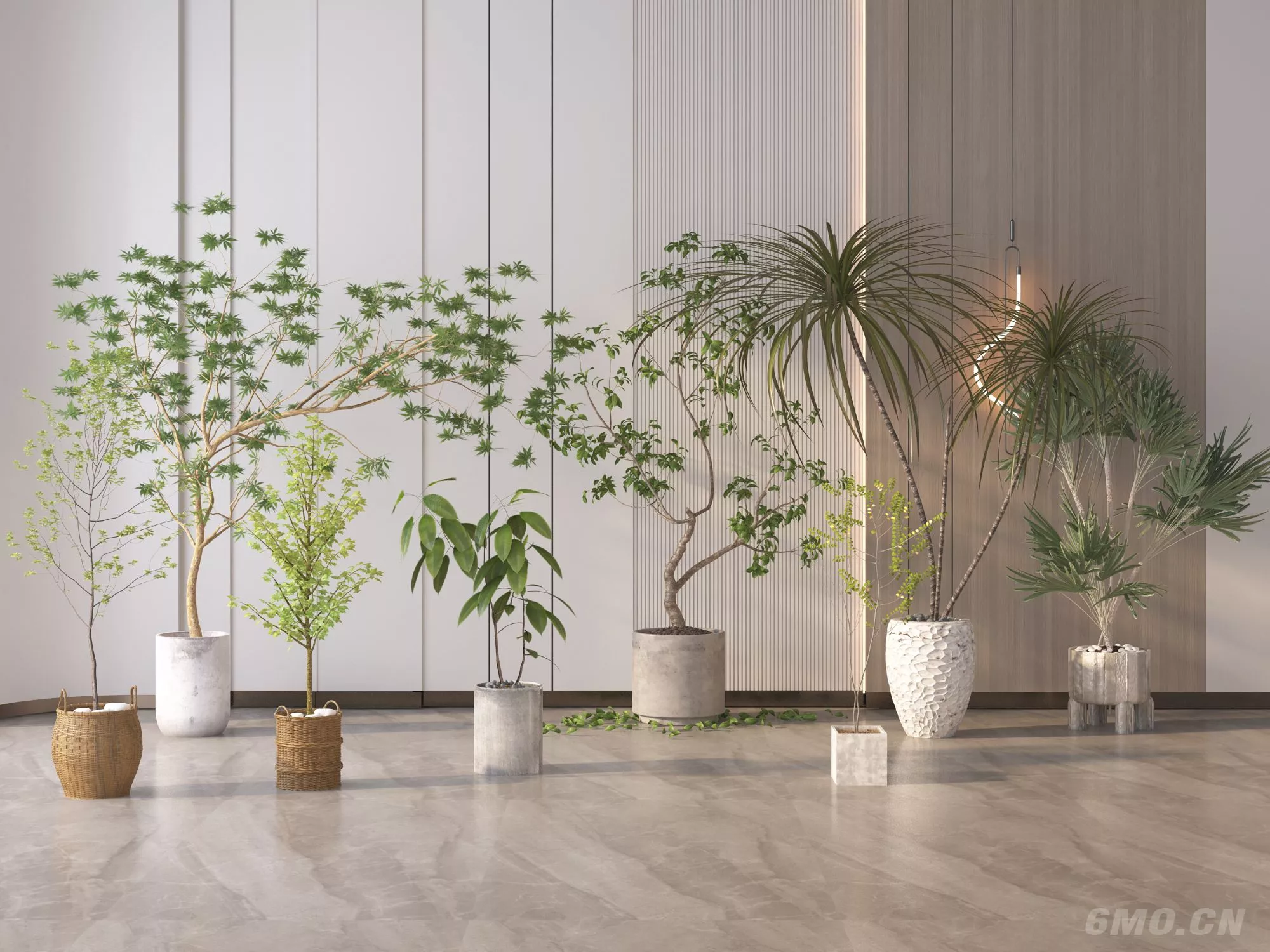 MODERN POTTED PLANT - SKETCHUP 3D MODEL - ENSCAPE - 259102