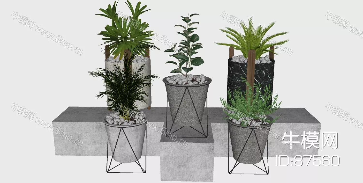 MODERN POTTED PLANT - SKETCHUP 3D MODEL - ENSCAPE - 87560