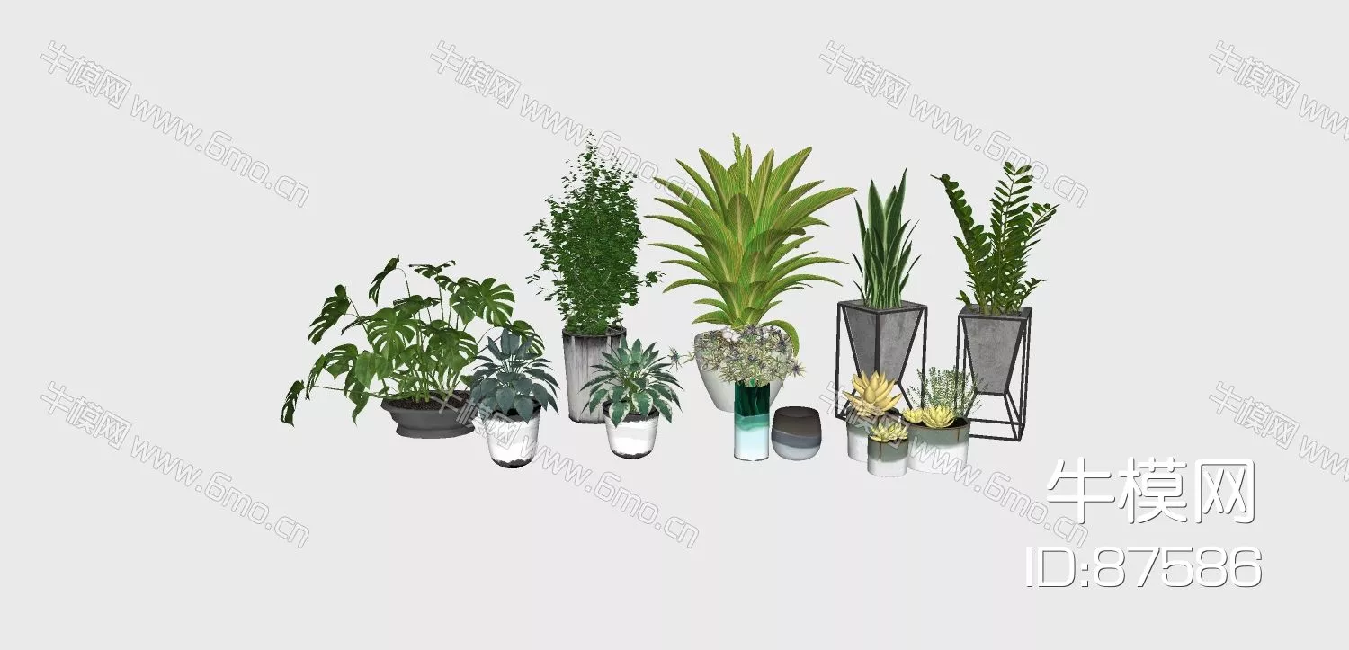 MODERN POTTED PLANT - SKETCHUP 3D MODEL - ENSCAPE - 87586
