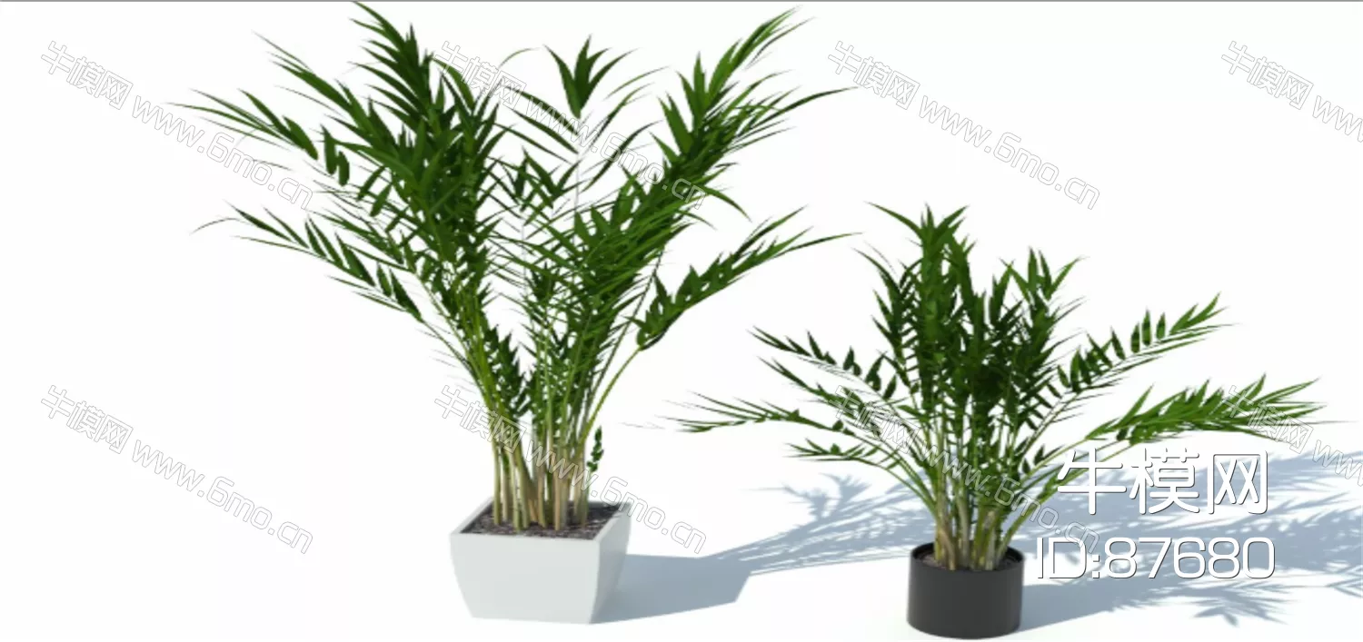 MODERN POTTED PLANT - SKETCHUP 3D MODEL - ENSCAPE - 87680