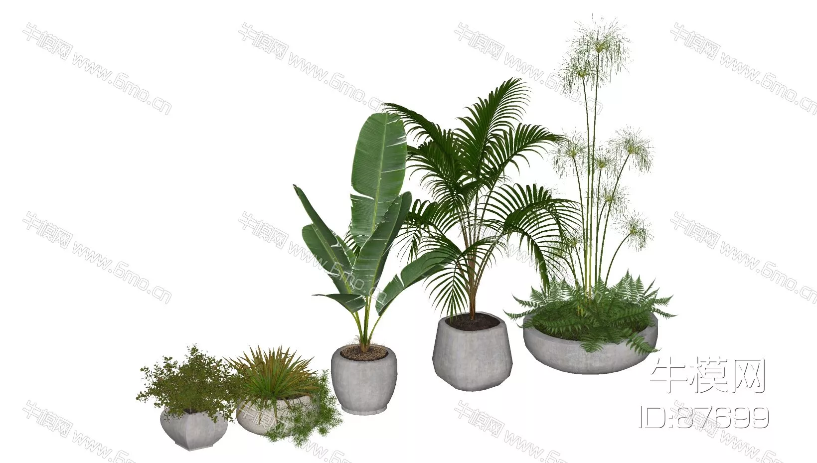 MODERN POTTED PLANT - SKETCHUP 3D MODEL - ENSCAPE - 87699
