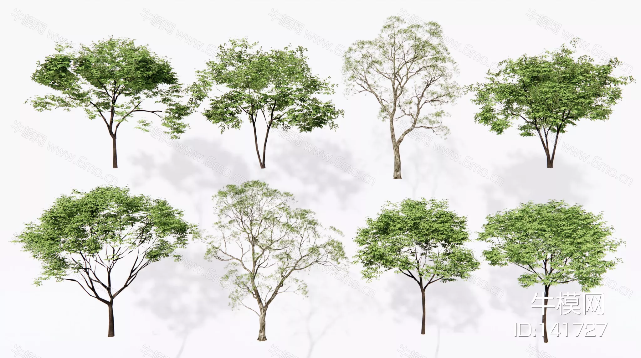 MODERN TREE - SKETCHUP 3D MODEL - ENSCAPE - 141727