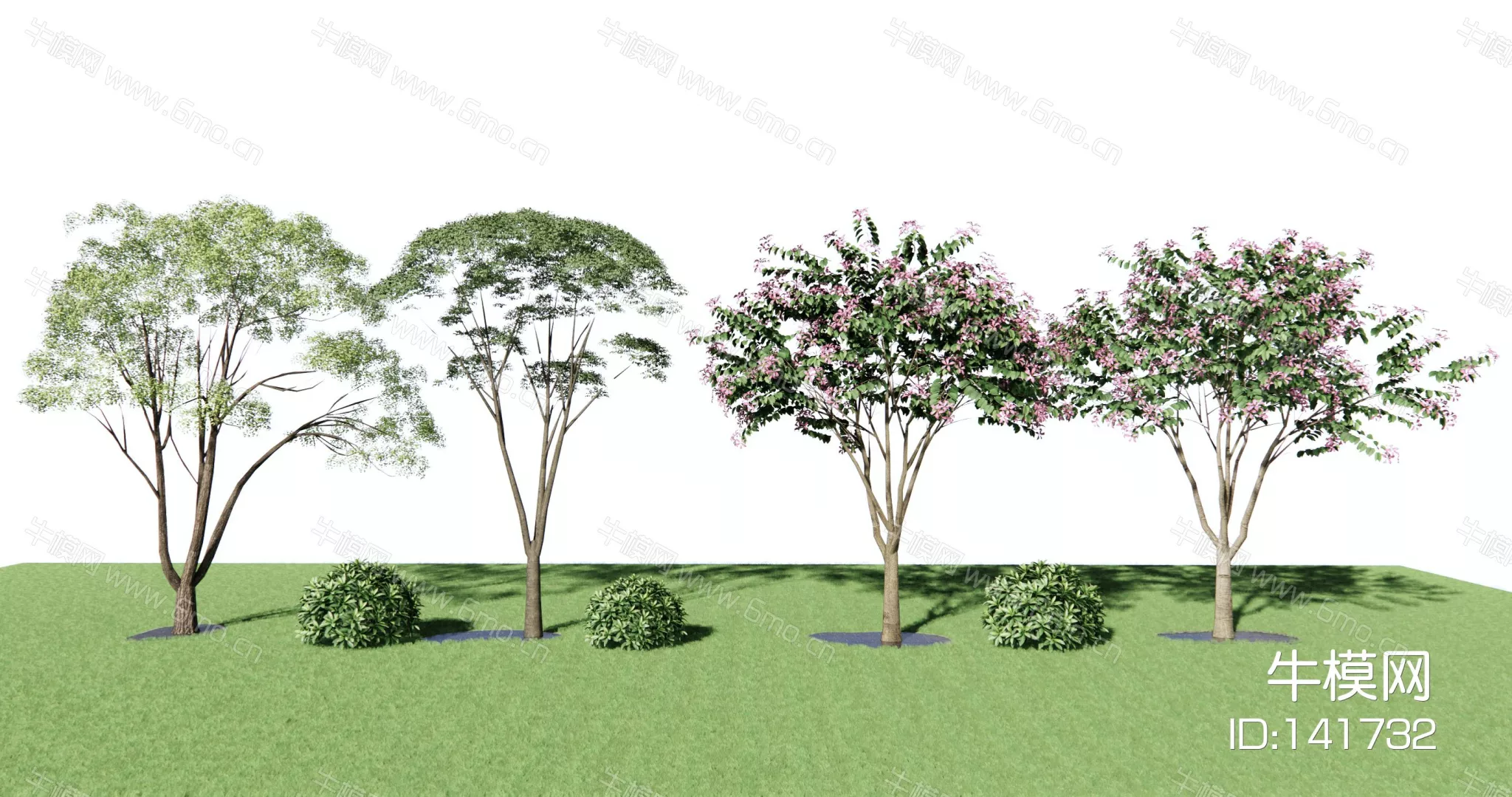 MODERN TREE - SKETCHUP 3D MODEL - ENSCAPE - 141732