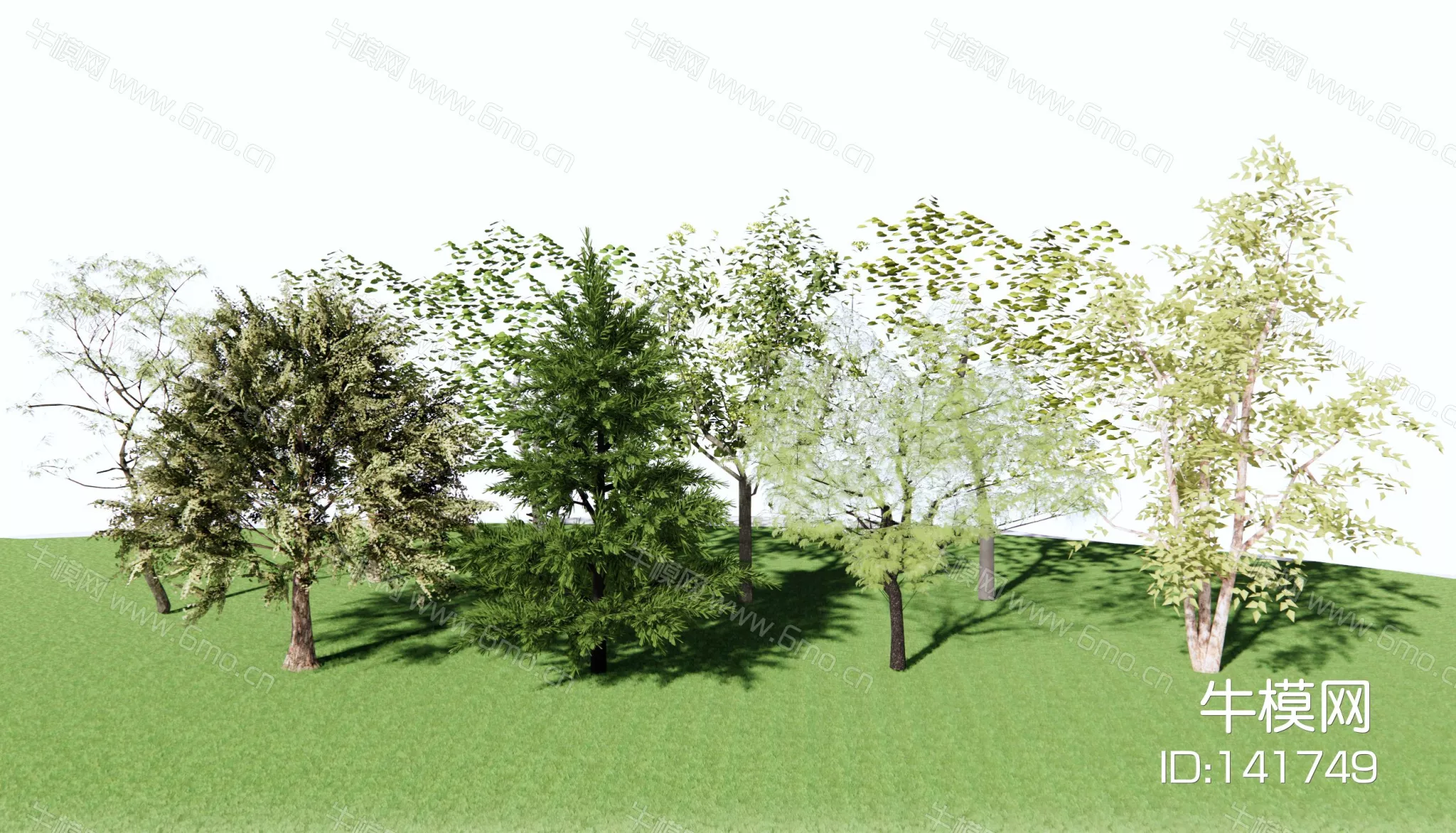 MODERN TREE - SKETCHUP 3D MODEL - ENSCAPE - 141749