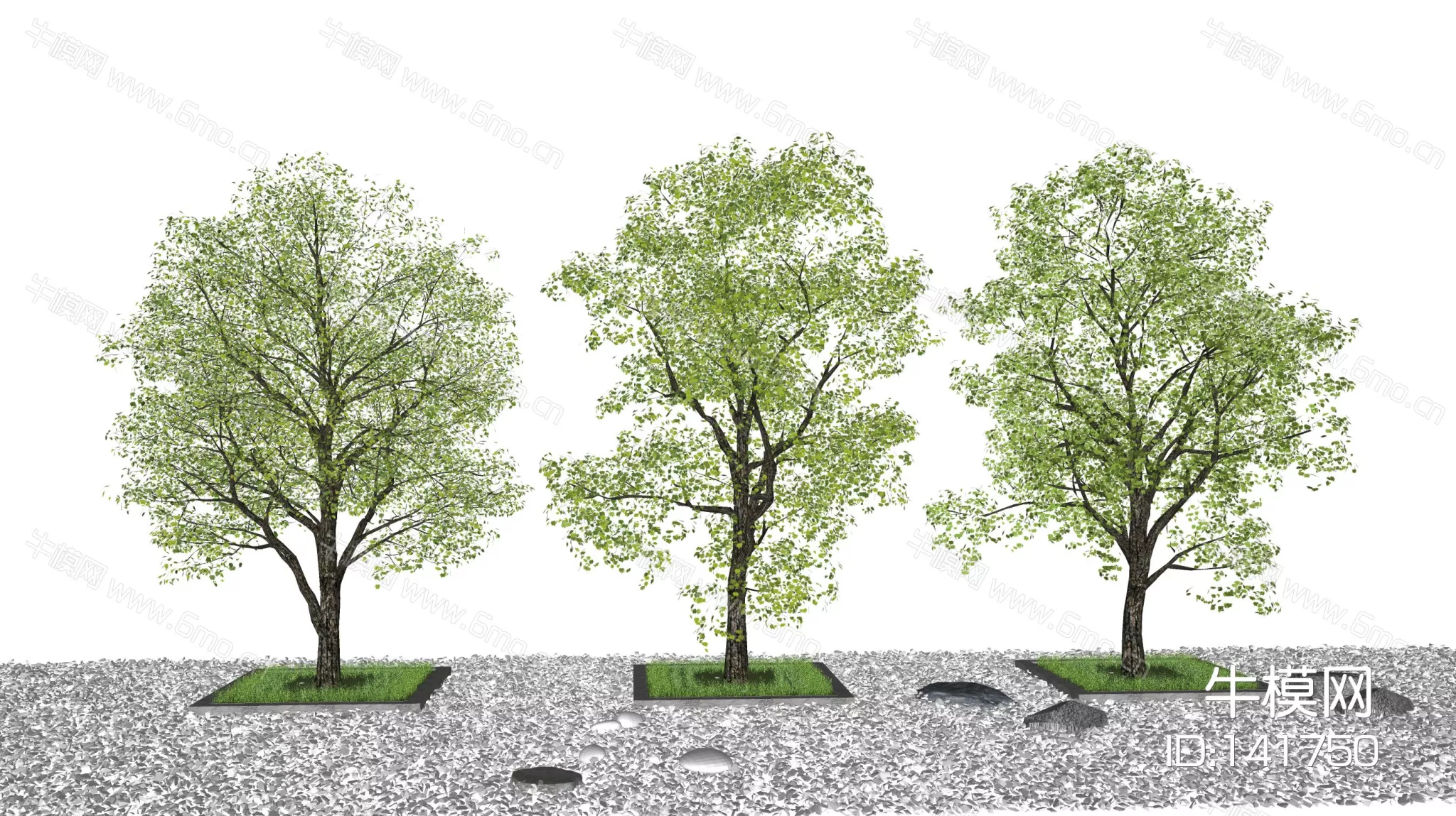 MODERN TREE - SKETCHUP 3D MODEL - ENSCAPE - 141750