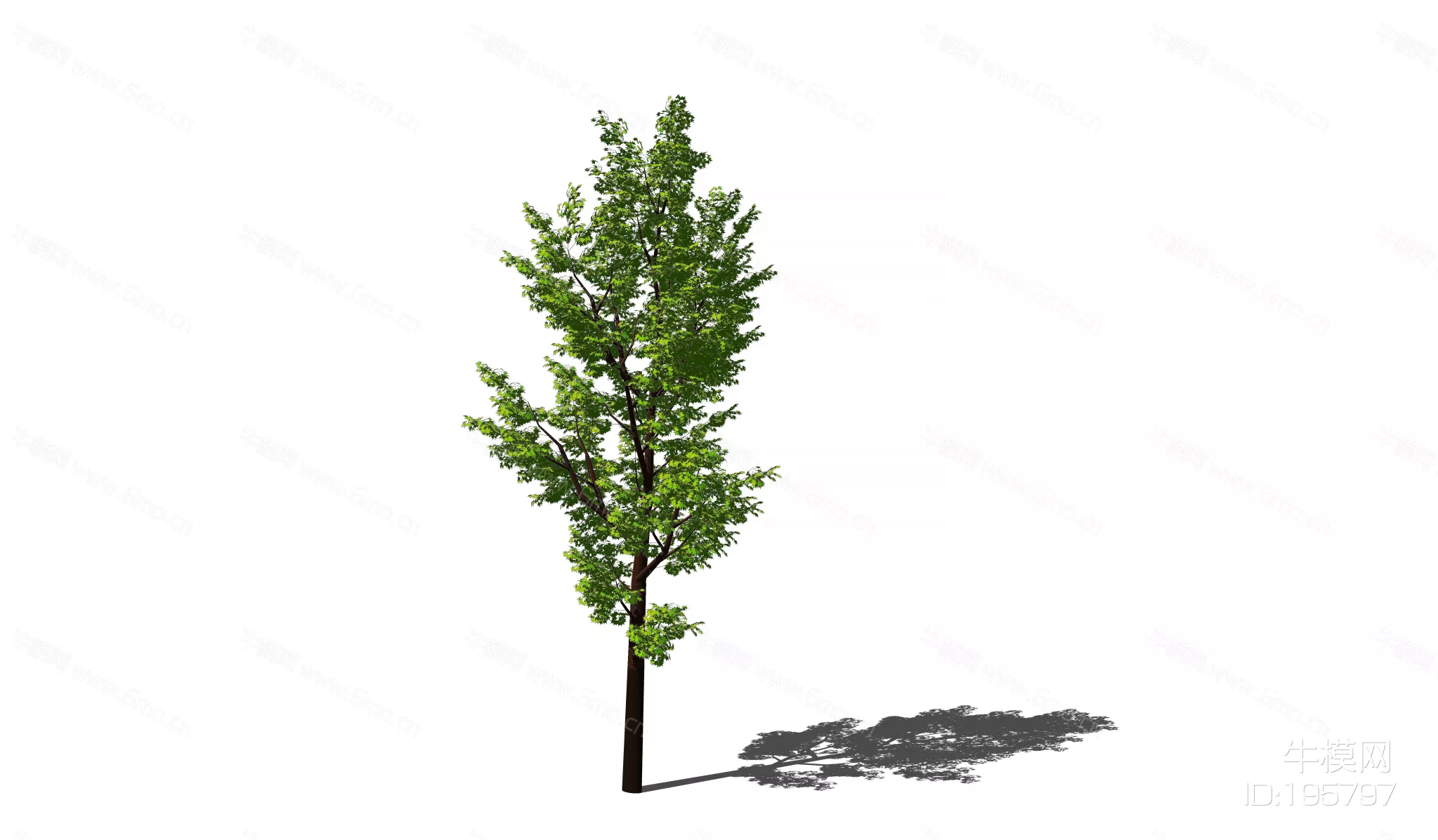 MODERN TREE - SKETCHUP 3D MODEL - ENSCAPE - 195797