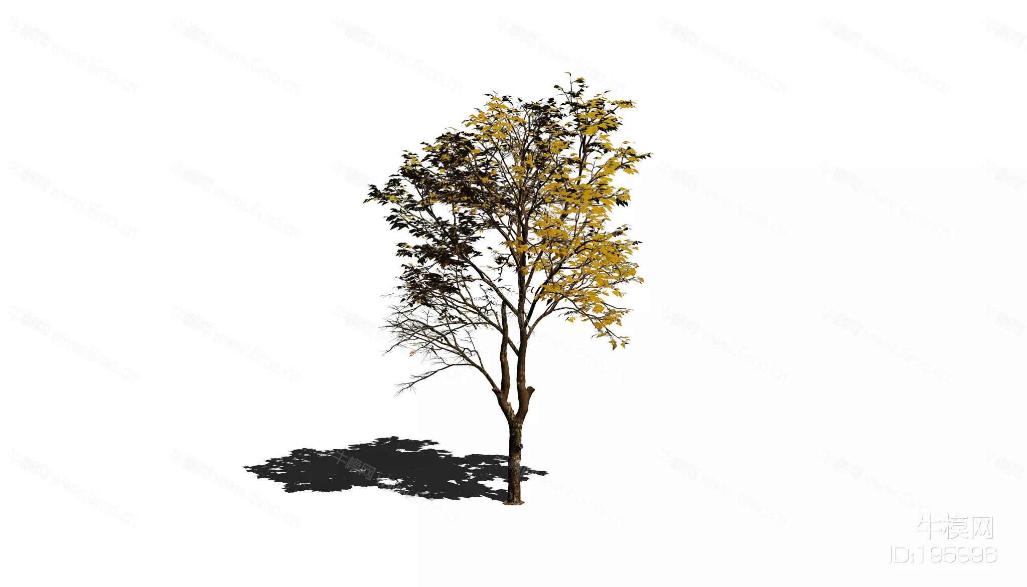 MODERN TREE - SKETCHUP 3D MODEL - ENSCAPE - 195996