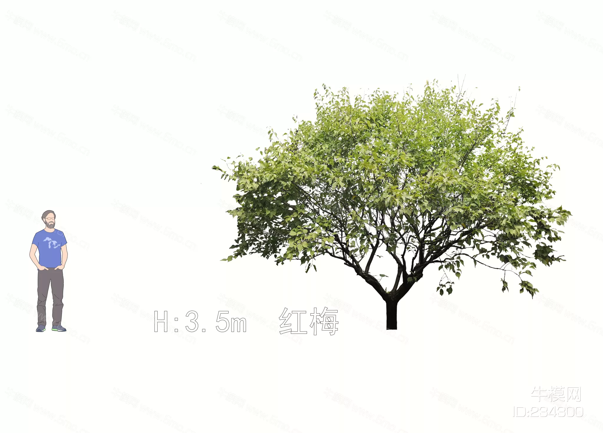 MODERN TREE - SKETCHUP 3D MODEL - ENSCAPE - 234300